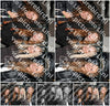 Evenement foto: HON Serie 15