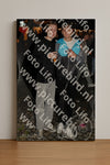 Evenement foto: HON Serie 15