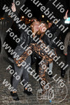 Evenement foto: HON Serie 15