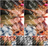 Evenement foto: HON Serie 16