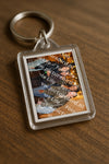 Evenement foto: HON Serie 16