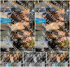 Evenement foto: HON Serie 16