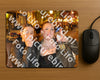 Evenement foto: HON Serie 16