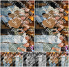 Evenement foto: HON Serie 16
