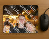 Evenement foto: HON Serie 16