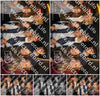 Evenement foto: HON Serie 17