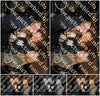 Evenement foto: HON Serie 17