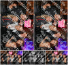 Evenement foto: HON Serie 17