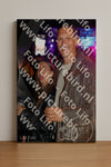 Evenement foto: HON Serie 18