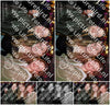 Evenement foto: HON Serie 18