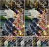 Evenement foto: HON Serie 18