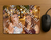 Evenement foto: HON Serie 18
