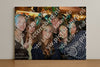 Evenement foto: HON Serie 18