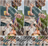 Evenement foto: Serie 1906