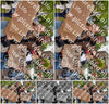 Evenement foto: Serie 1906