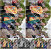 Evenement foto: Serie 1906