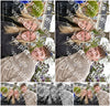 Evenement foto: Serie 1906
