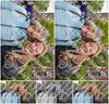 Evenement foto: Serie 1906