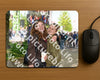 Evenement foto: Serie 1783