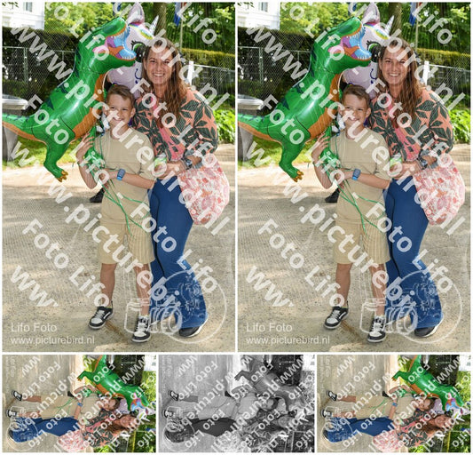 Evenement foto: Serie 1783