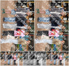 Evenement foto: Serie 298
