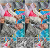 Evenement foto: Serie 182