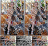 Evenement foto: Serie 183
