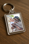 Evenement foto: Serie 183