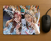 Evenement foto: Serie 183