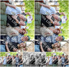 Evenement foto: Serie 183