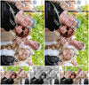 Evenement foto: Serie 183