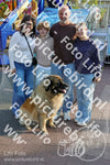 Evenement foto: Serie 184