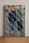 Evenement foto: Serie 185