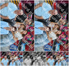Evenement foto: Serie 185