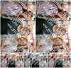 Evenement foto: Serie 185