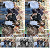 Evenement foto: Serie 185