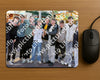 Evenement foto: Serie 186