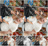 Evenement foto: Serie 301