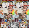 Evenement foto: Serie 303