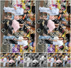 Evenement foto: Serie 303