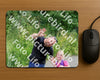Evenement foto: Serie 1942