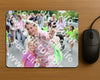 Evenement foto: Serie 1942