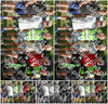 Evenement foto: Serie 1945