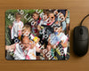 Evenement foto: Serie 1945