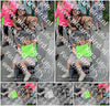 Evenement foto: Serie 1945