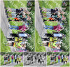 Evenement foto: Serie 1946