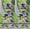 Evenement foto: Serie 1946