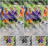 Evenement foto: Serie 1946