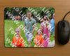 Evenement foto: Serie 1947
