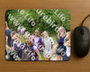 Evenement foto: Serie 1947